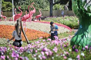 BIB: 
                            <button type="button" onclick="openModal(27794072)" class="btn btn-primary btn-sm float-right btn-popup" data-toggle="modal" data-target=".modal-high-quality">
                        <i class="fas fa-shopping-cart"></i> Add to Cart
                    </button>
                                            <button type="button" onclick="isThisMe(27794072, true)" class="btn btn-success btn-sm float-right btn-popup btn-isme hidden" data-toggle="tooltip" data-placement="bottom" title="นี่คือรูปของคุณใช่ไหม คลิกที่นี่เพื่อเอาเข้าอัลบั้ม">
                        <i class="fas fa-plus"></i> Add to album
                    </button>
                    <button type="button" onclick="isThisMe(27794072, false)" class="btn btn-warning btn-sm float-right btn-popup btn-isnotme hidden">
                        <i class="fas fa-ban"></i> Remove from album
                    </button>